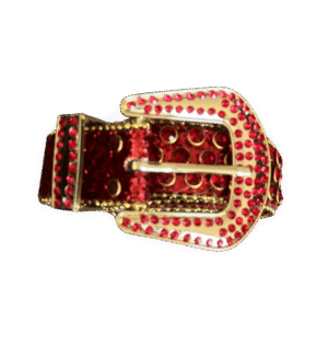 Cinturon bb belt