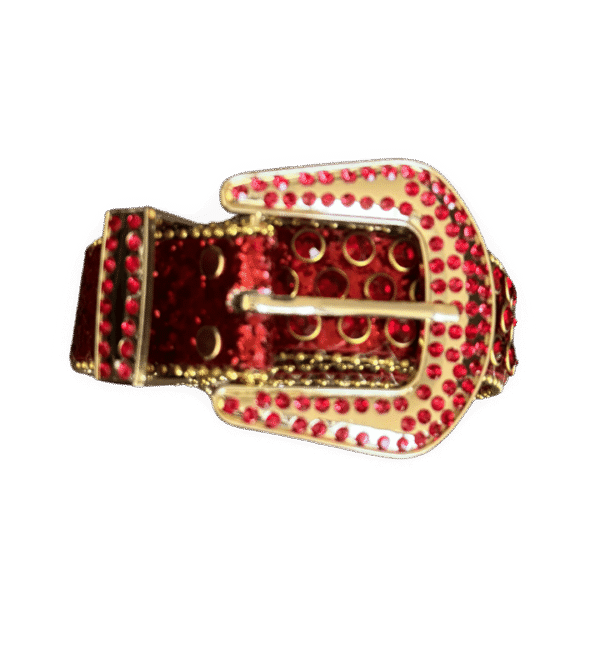 Cinturon bb belt