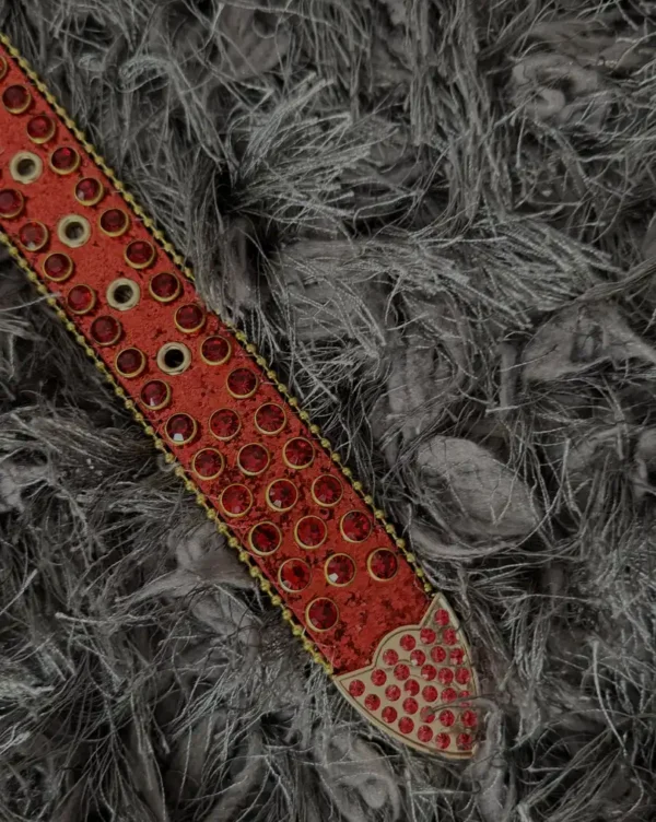 Cinturon bb belt